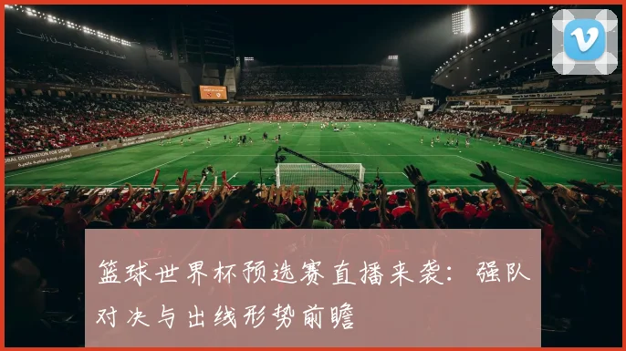 篮球世界杯预选赛直播来袭：强队对决与出线形势前瞻