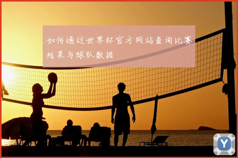 如何通过世界杯官方网站查询比赛结果与球队数据