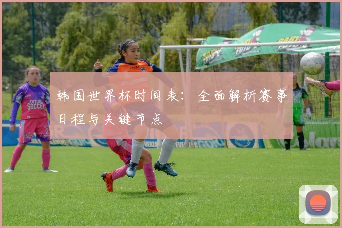 韩国世界杯时间表：全面解析赛事日程与关键节点