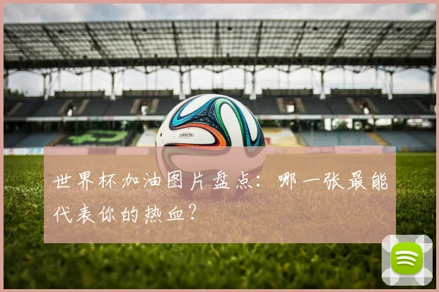 世界杯加油图片盘点：哪一张最能代表你的热血？