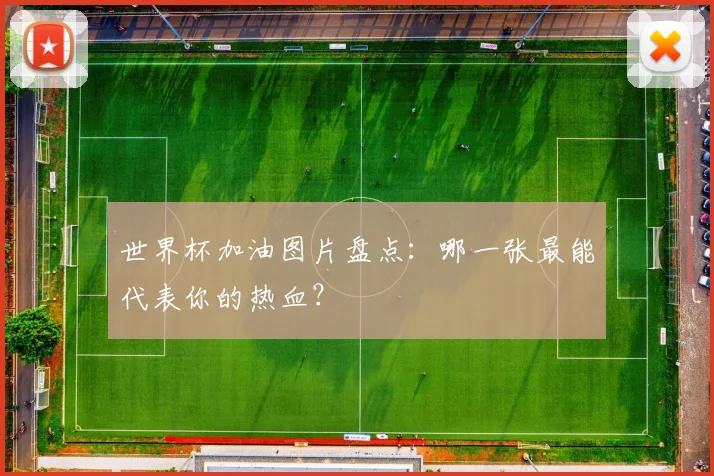 世界杯加油图片盘点：哪一张最能代表你的热血？
