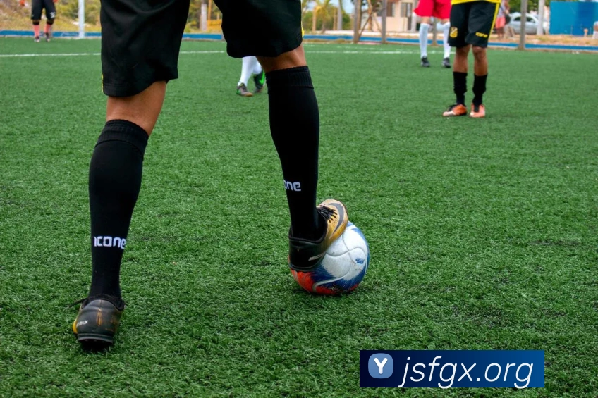 开云app在线入口发展历程